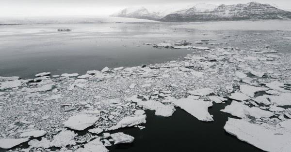 科学家拉响了警报，在南极洲发现了一种可怕的疾病:整个种群面临灭绝的威胁