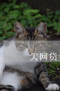 国际贸易中信用证是什么_贸易信用证是什么意思_贸易信用证种类