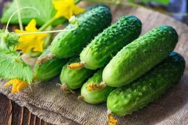 持股待涨可以买入吗_持股待涨 趋势_持股待涨图片