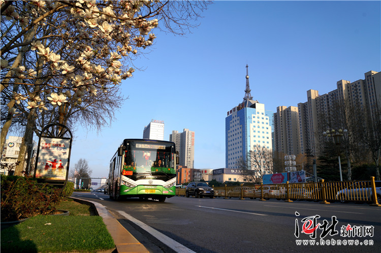 企业并购决策_并购决策的始发点_并购决策的出发点