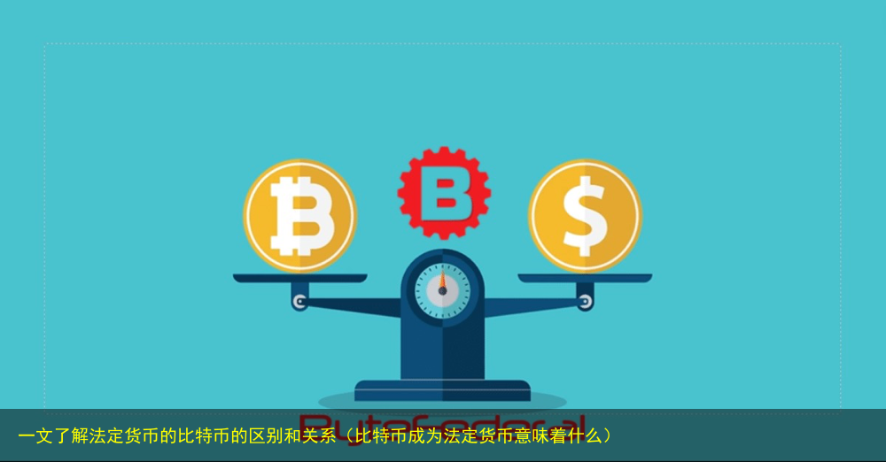 比特币年会_预测比特币会长到多少价格_比特币又长了